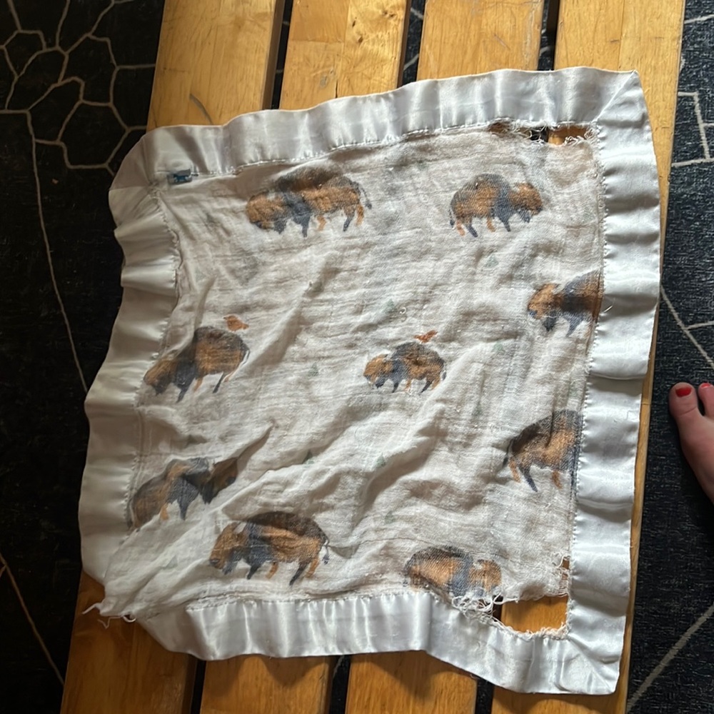 In search of buffalo bison lovey